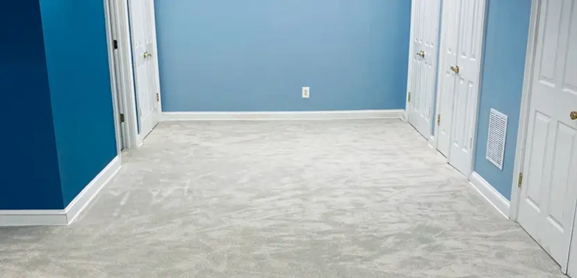 Budget-Friendly Carpet Installation - Blog